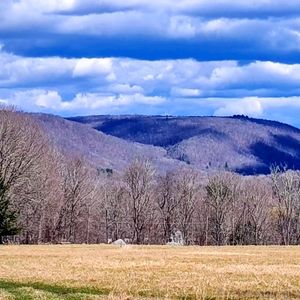 Meet your Posher, RZ